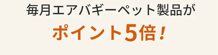 エアバ製品
