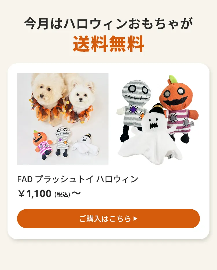 送料無料