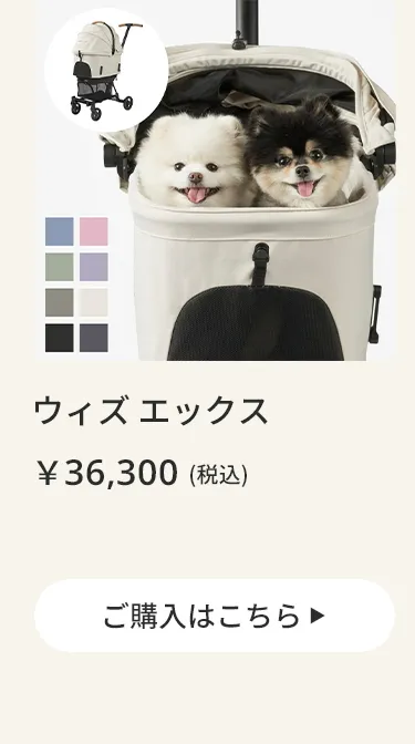 エアバギーワンニャンの日5月