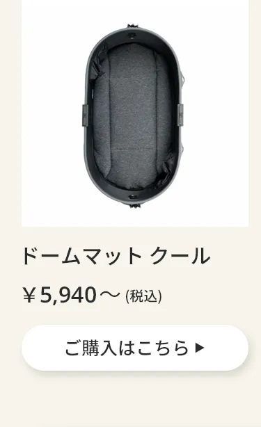 エアバギーワンニャンの日5月