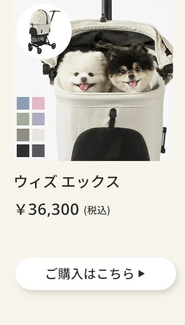 エアバギーワンニャンの日5月