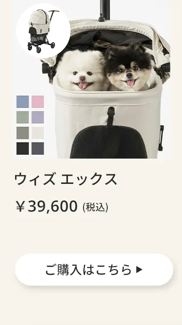 エアバギーワンニャンの日