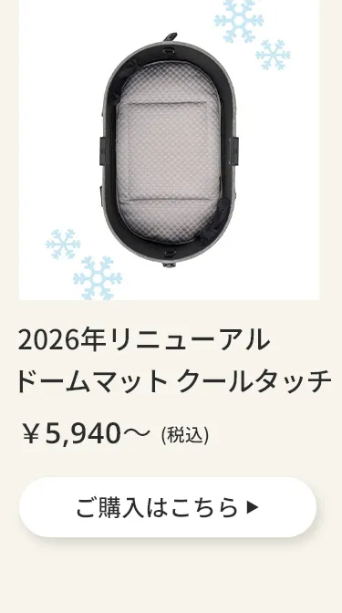 エアバギーワンニャンの日