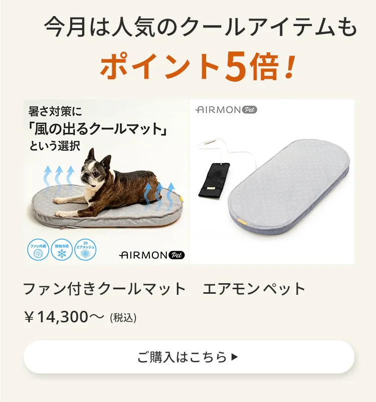 エアモン