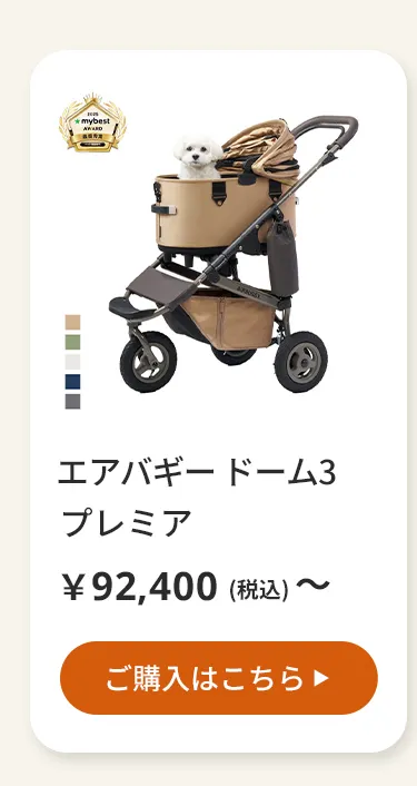 エアバギーワンニャンの日