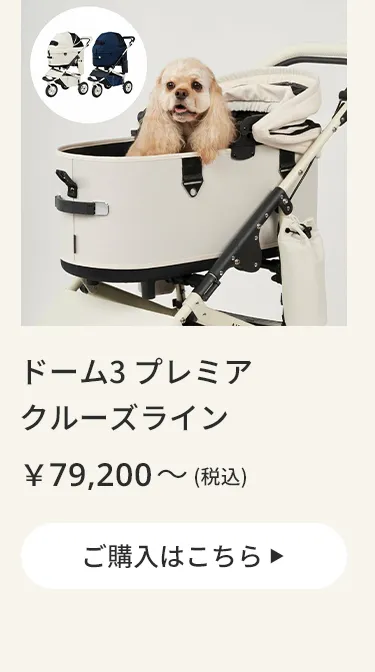 エアバギーワンニャンの日5月