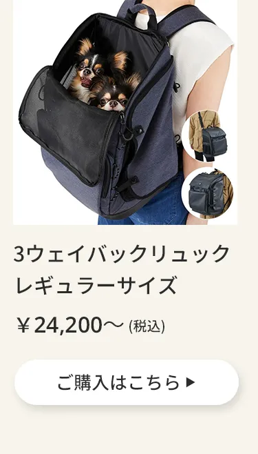 エアバギーワンニャンの日5月