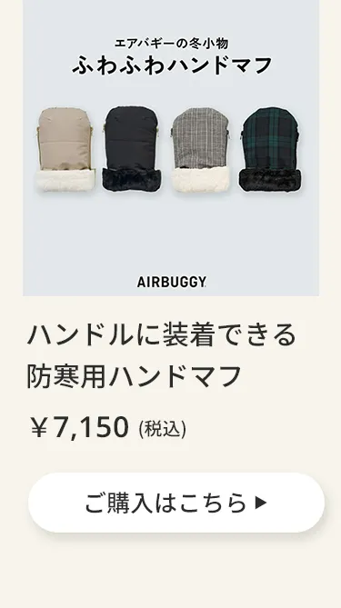 エアバギーワンニャンの日