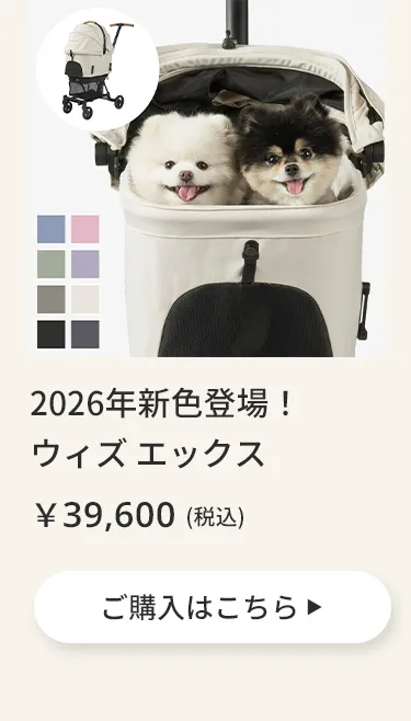 エアバギーワンニャンの日