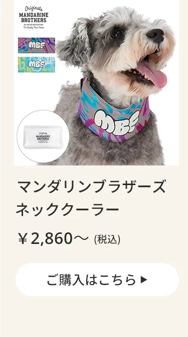 マンダリン