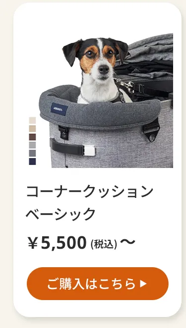 エアバギーワンニャンの日