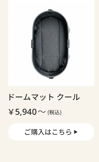 エアバギーワンニャンの日5月