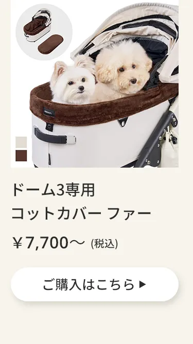 エアバギーワンニャンの日