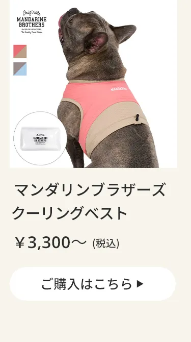 マンダリン
