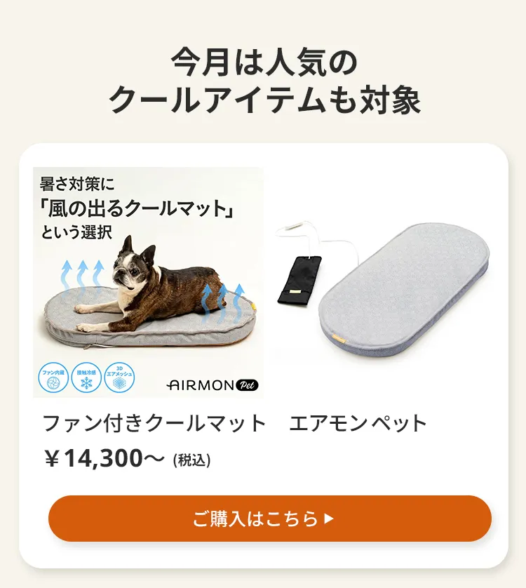 エアモン