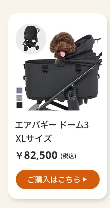 エアバギーワンニャンの日