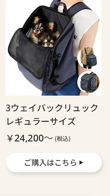 エアバギーワンニャンの日