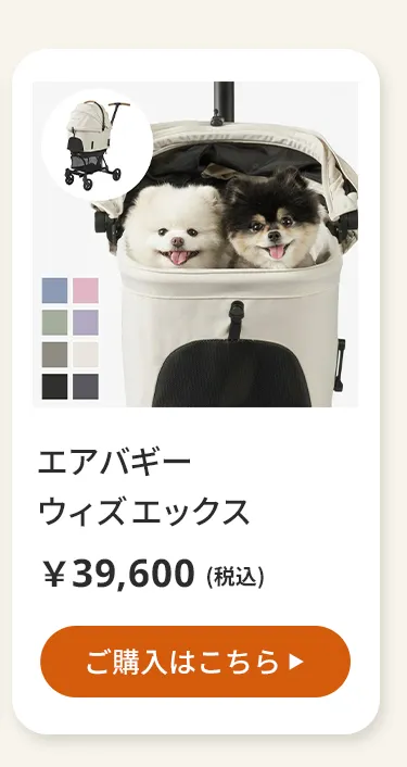 エアバギーワンニャンの日