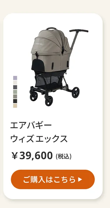 エアバギーワンニャンの日