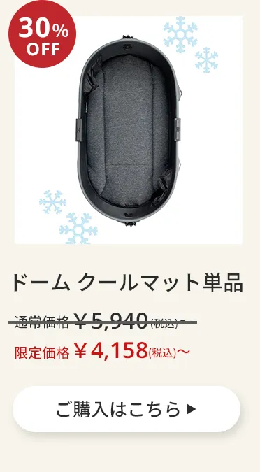 エアバギーワンニャンの日