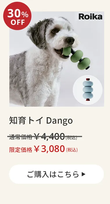 エアバギーワンニャンの日