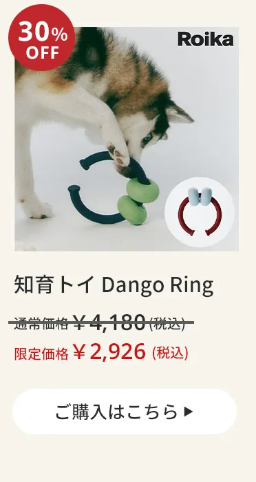 エアバギーワンニャンの日