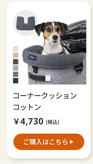 エアバギーワンニャンの日