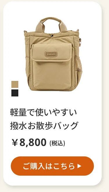 エアバギーワンニャンの日