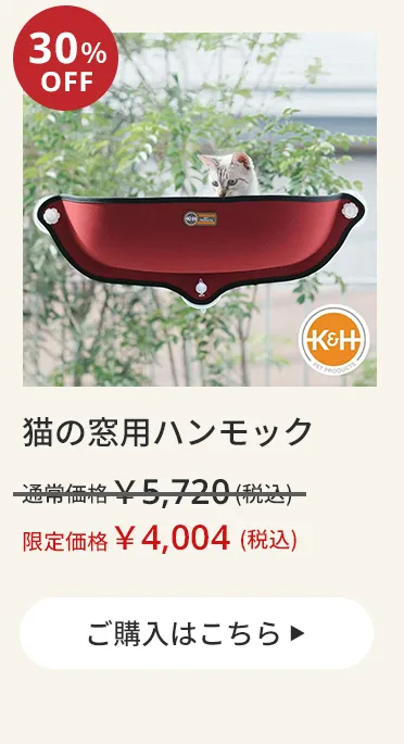 エアバギーワンニャンの日