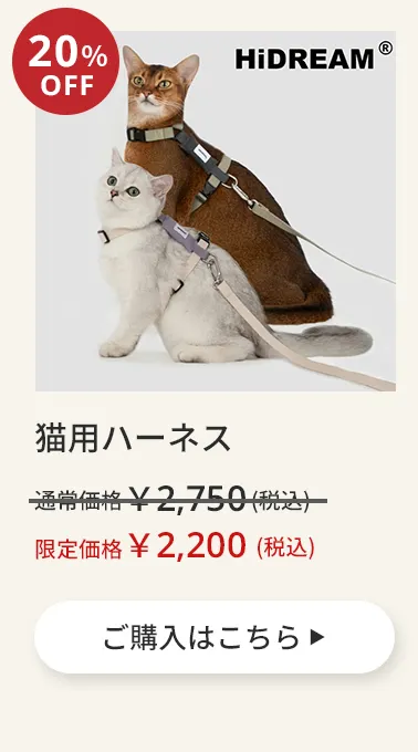 エアバギーワンニャンの日