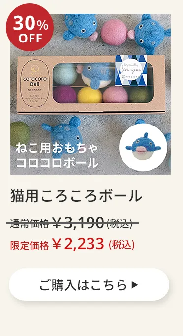 エアバギーワンニャンの日