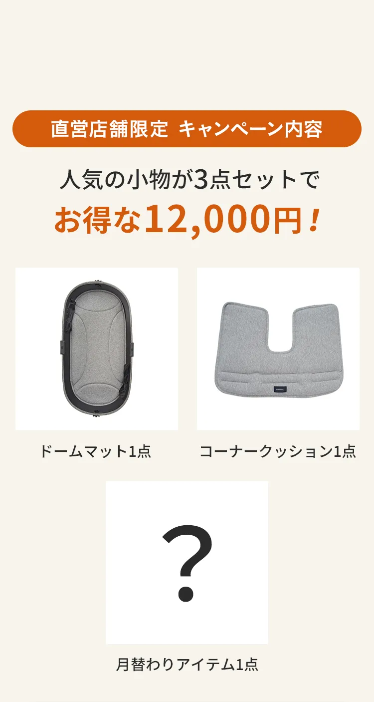 エアバギーワンニャンの日5月