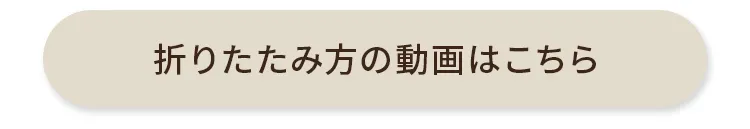 エアバギー エアクルーザー