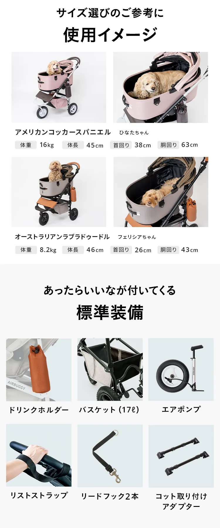 エアバギー DOME3 ラージサイズセット