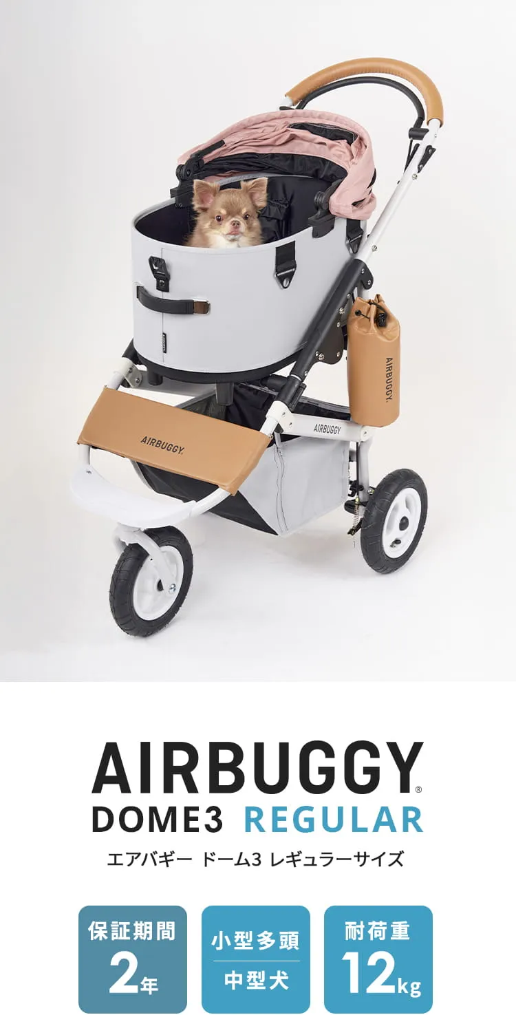 エアバギー DOME3 レギュラーサイズセット