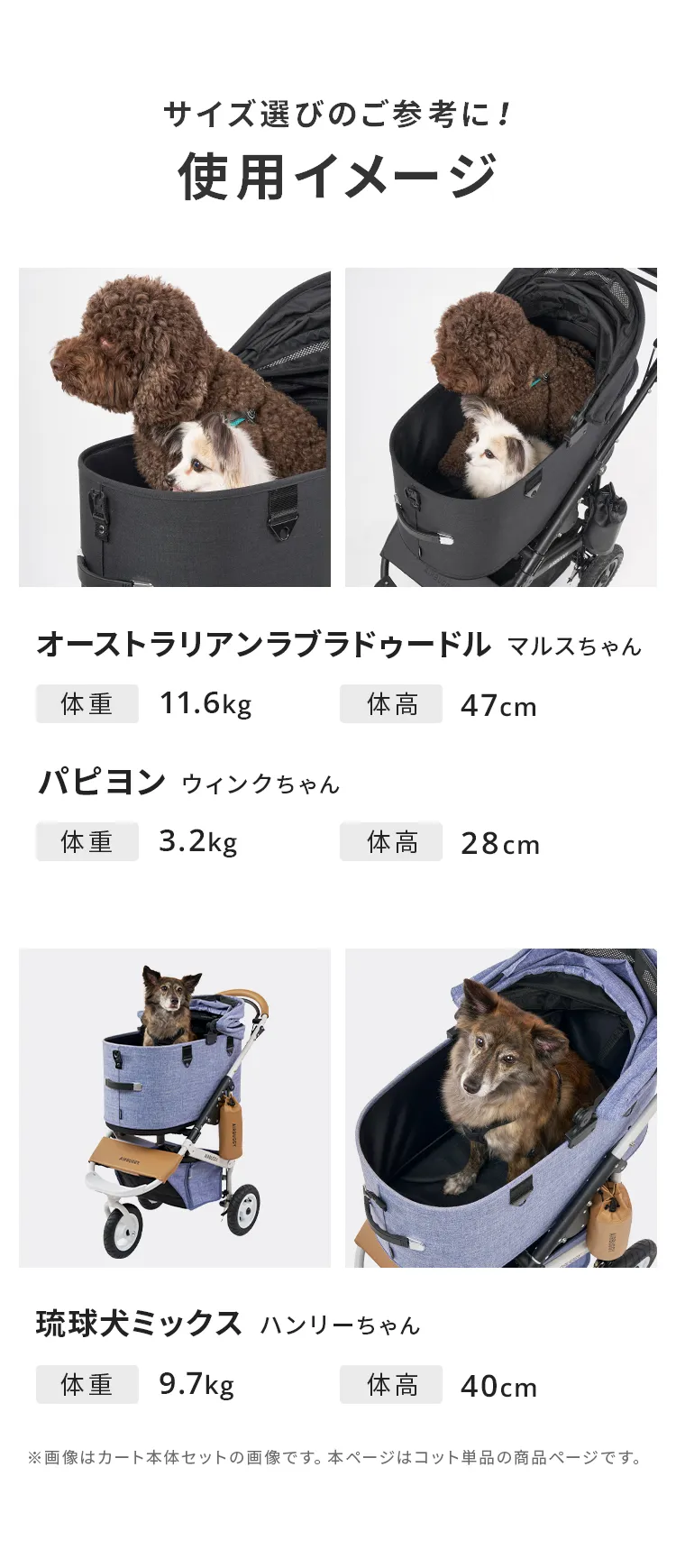 DOME3コット単品XLサイズ