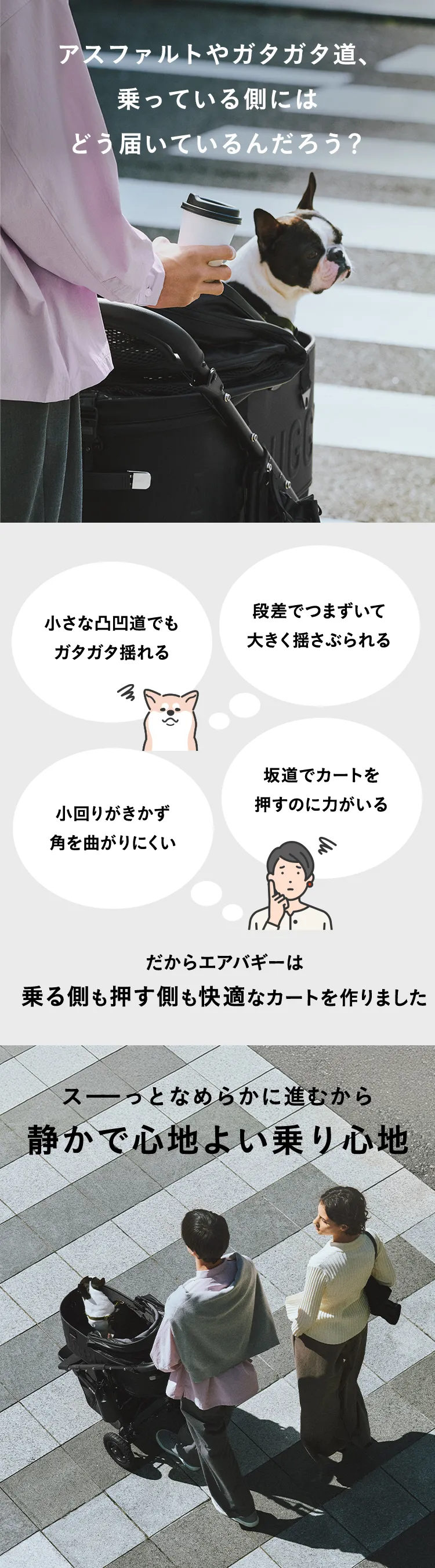 エアバギー DOME3 XLサイズセット