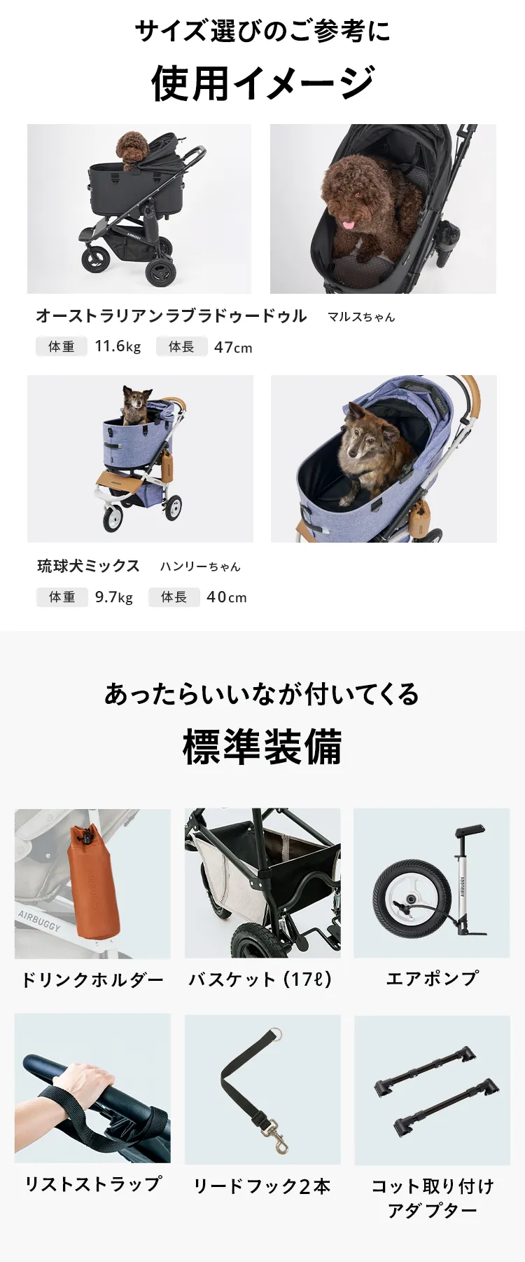 エアバギー DOME3 XLサイズセット