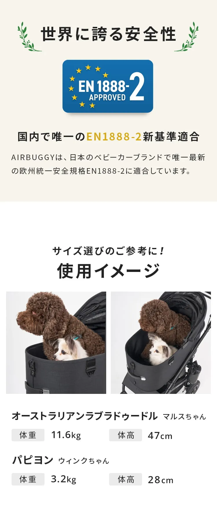 エアバギー DOME3 XLサイズセット