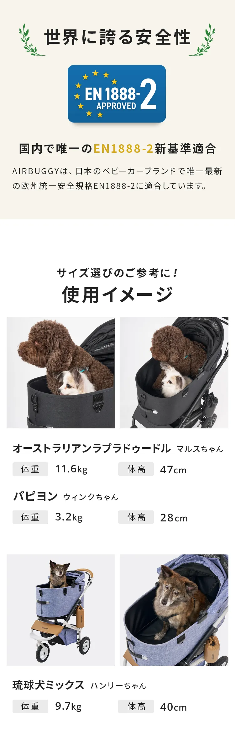 エアバギー DOME3 XLサイズセット