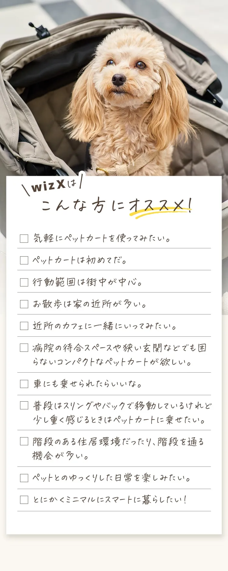 WIZ X