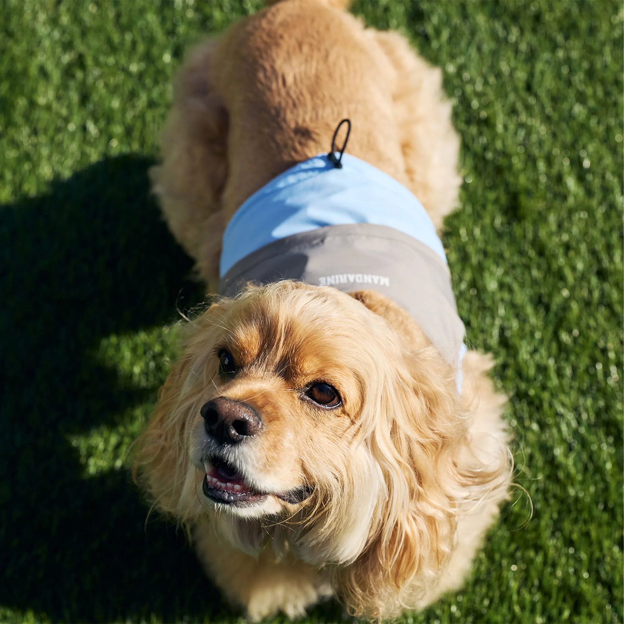 マンダリンブラザーズ クーリングベスト