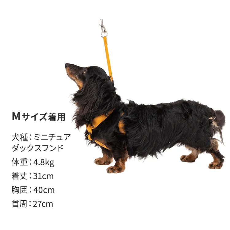 マンダリンブラザーズ クラシックハーネス