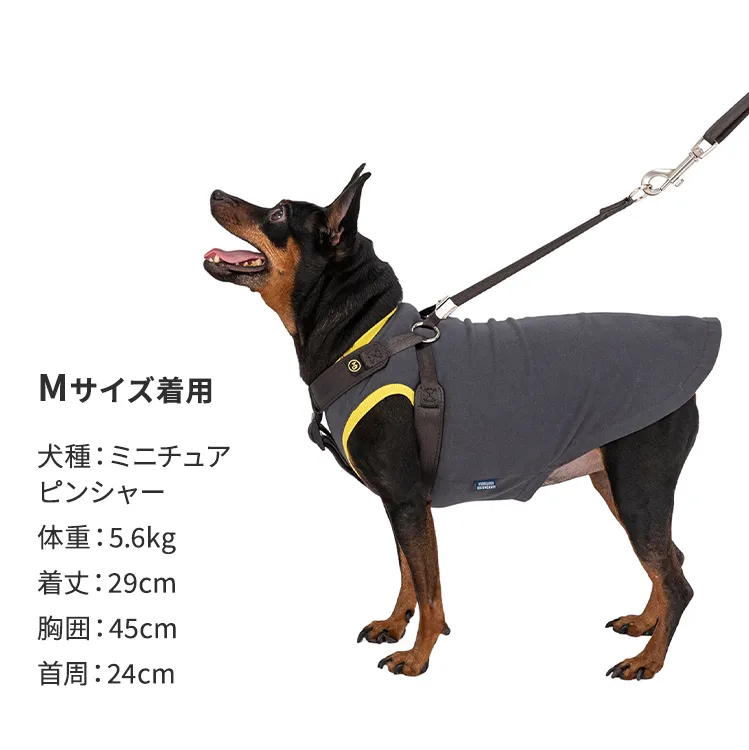 マンダリンブラザーズ クラシックハーネス