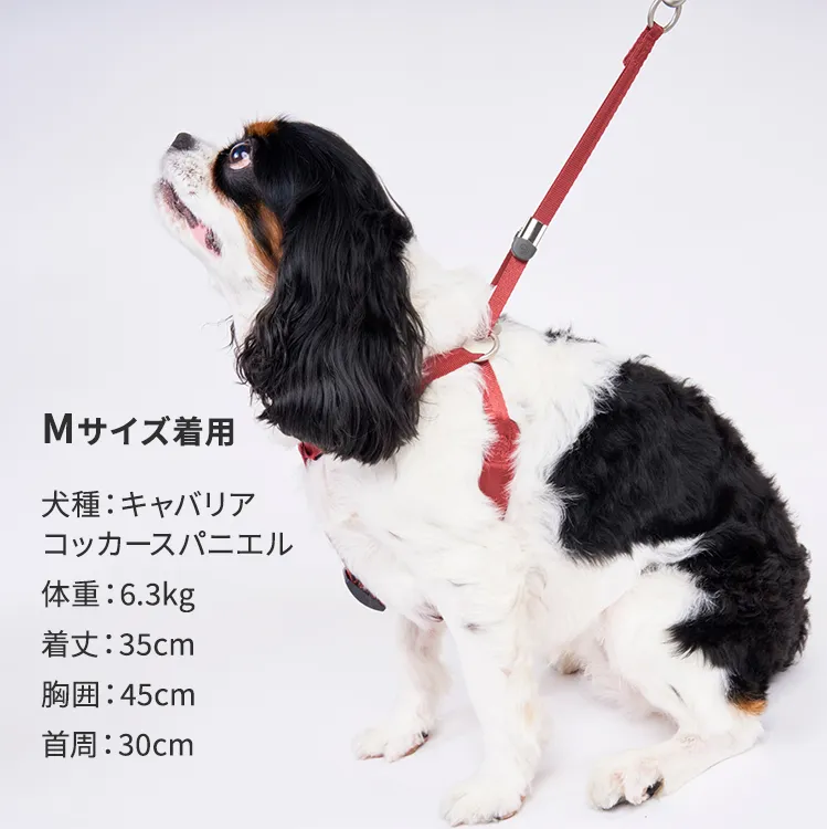 マンダリンブラザーズ クラシックハーネス