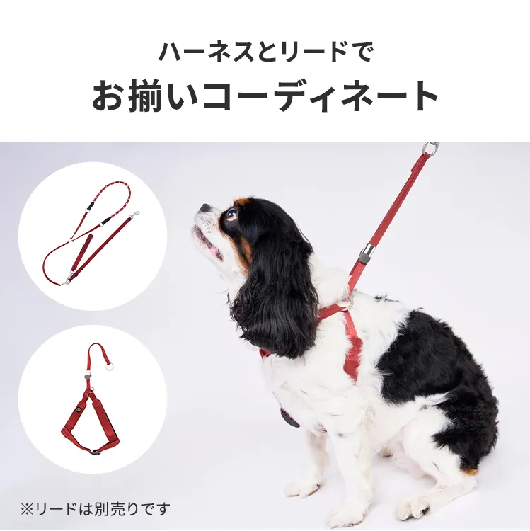 マンダリンブラザーズ クラシックハーネス