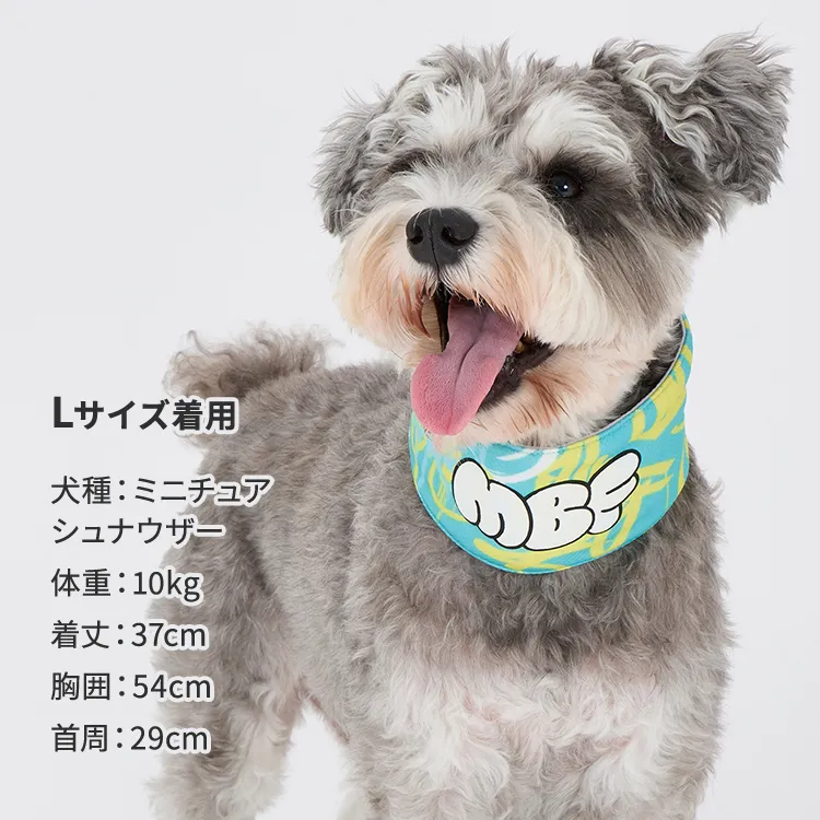 マンダリンブラザーズ ネッククーラー