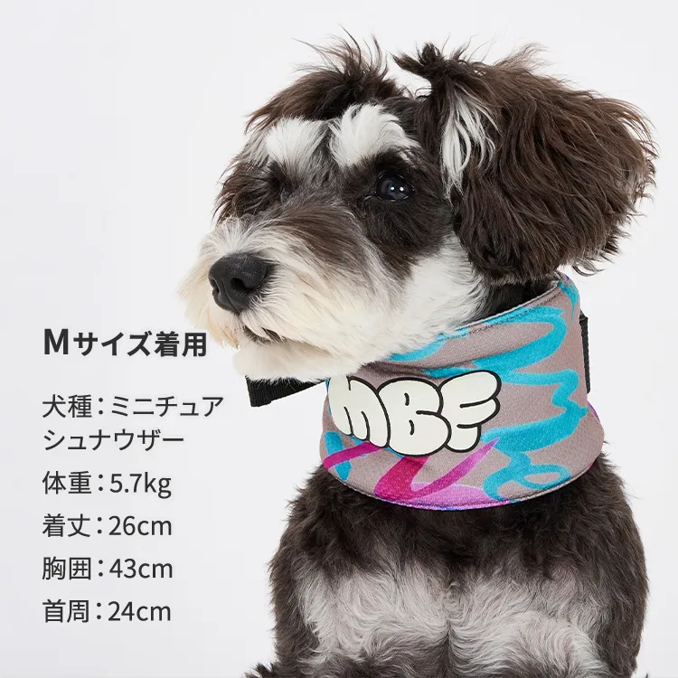 マンダリンブラザーズ ネッククーラー