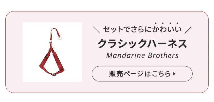 マンダリンブラザーズ ハンズフリーリード
