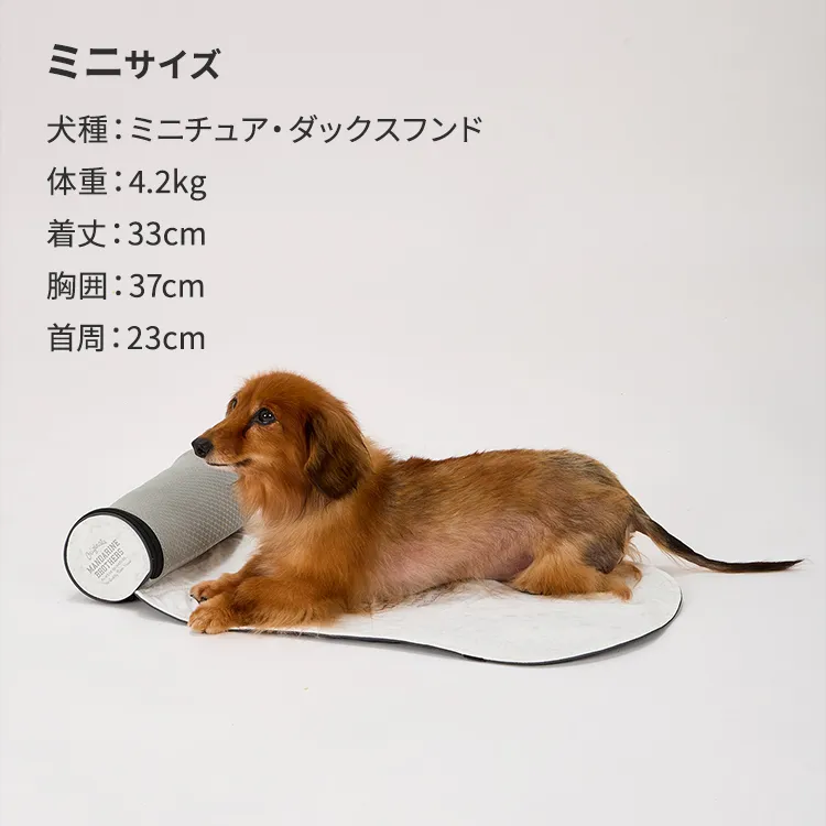 マンダリンブラザーズ アイシーコージーミニマット